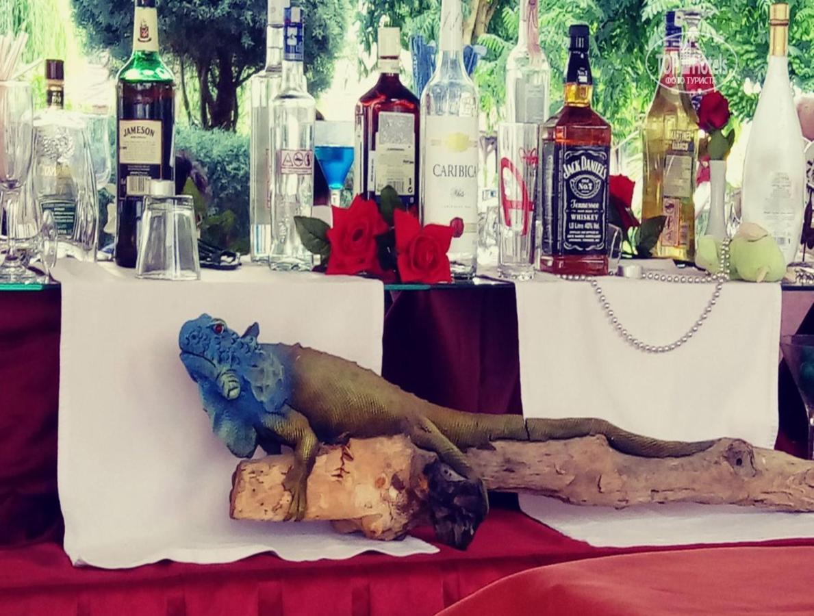 Golden Sunset Hotel&Spa Kemer Ngoại thất bức ảnh Blue iguana at the bar